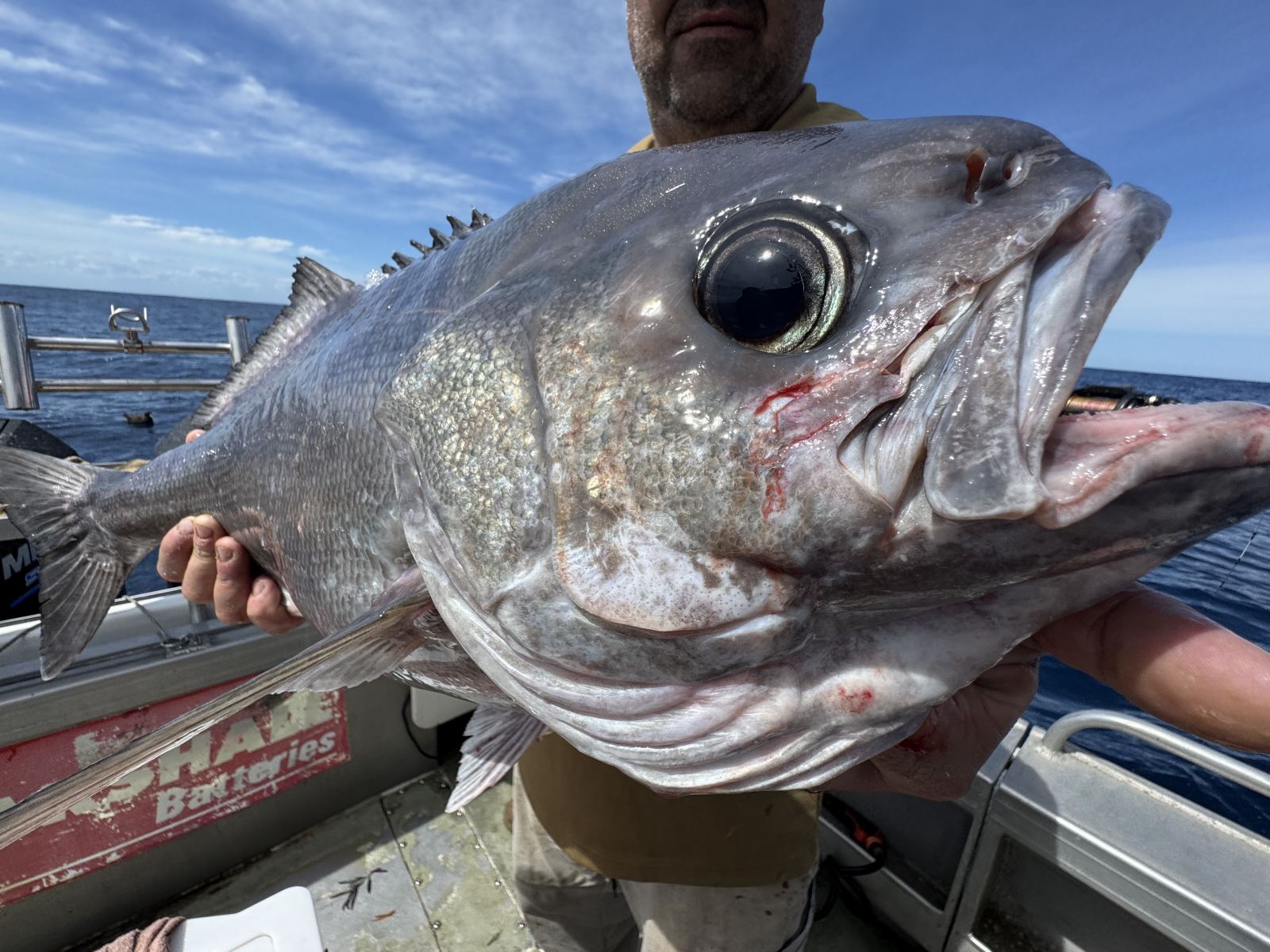 Portland Deep Drop & Blue Eye Charter